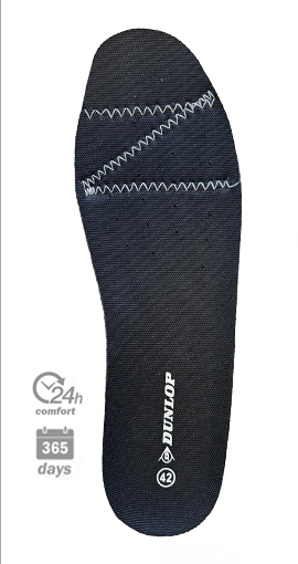 le mans_insole